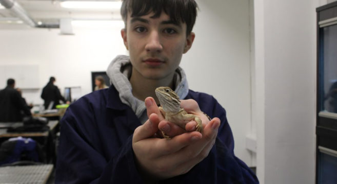 Male student holding reptile