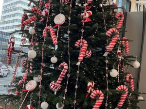 College Christmas tree on display in the atrium