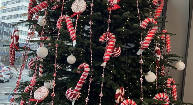 College Christmas tree on display in the atrium