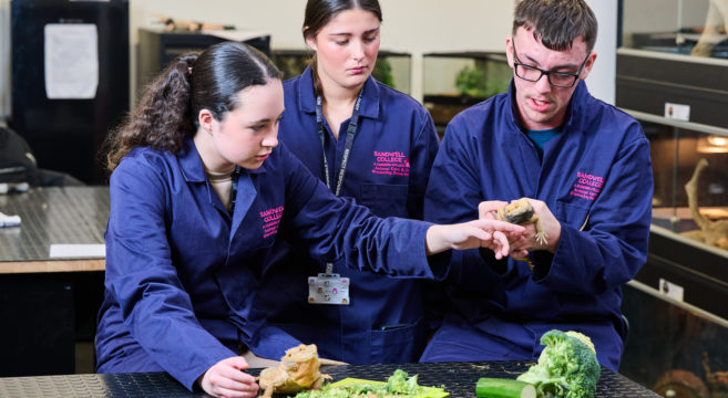 Animal Care Sandwell College